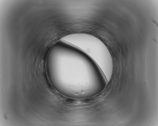 X0000095950319200801110921