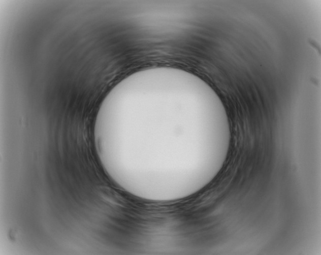 X0000095950320200801110921