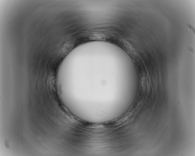 X0000095950322200801110921