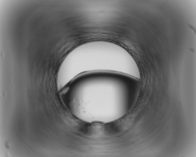 X0000095950325200801110921