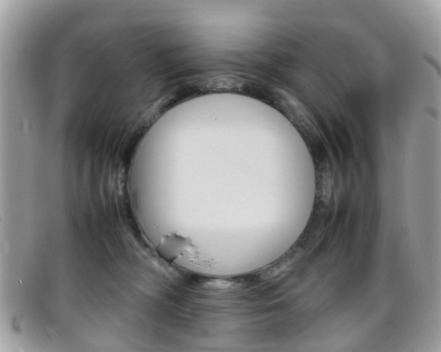 X0000095950326200801110921