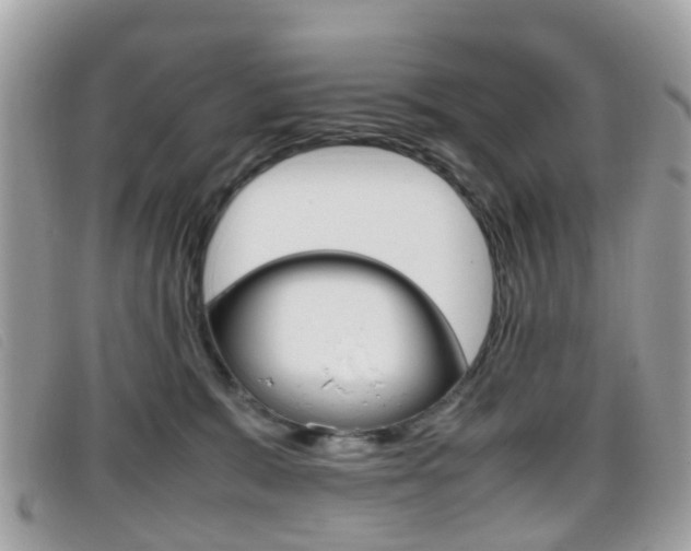 X0000095950327200801110921