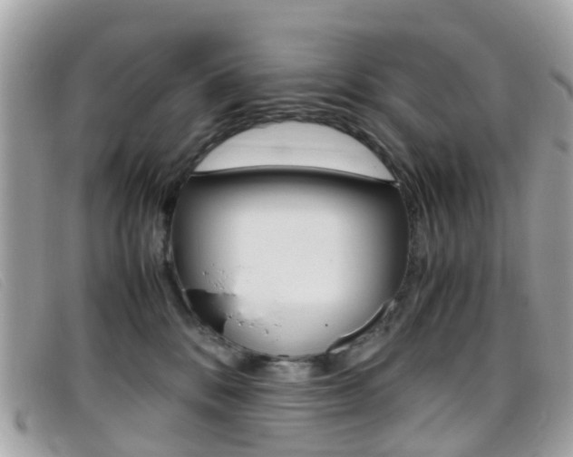 X0000095950328200801110921