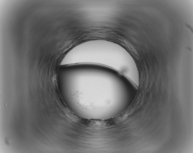 X0000095950329200801110921