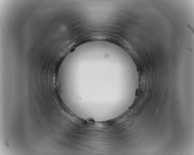 X0000095950330200801110921
