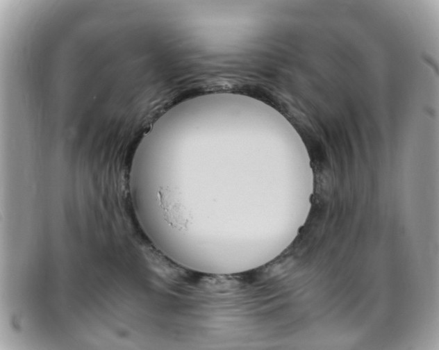 X0000095950331200801110921