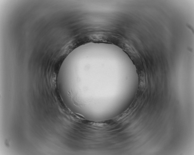 X0000095950332200801110921