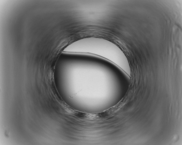 X0000095950333200801110921