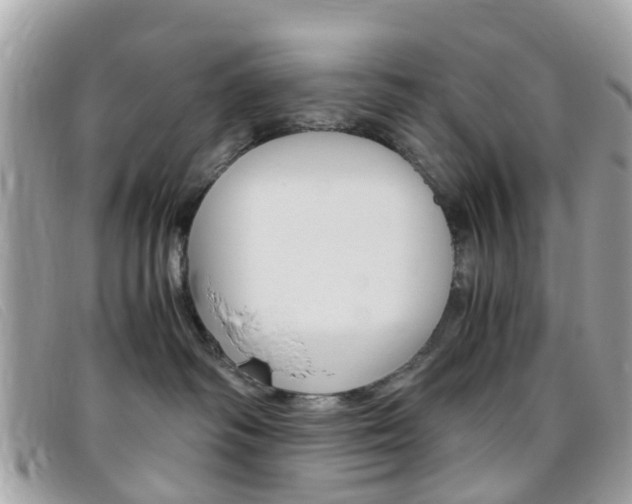 X0000095950334200801110921