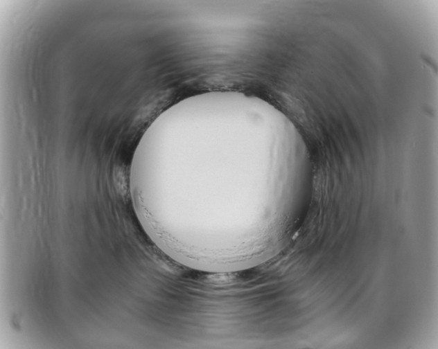 X0000095950335200801110921