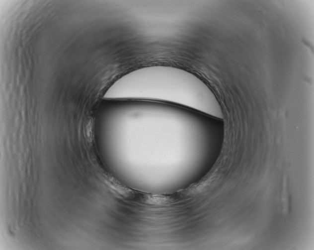 X0000095950336200801110921