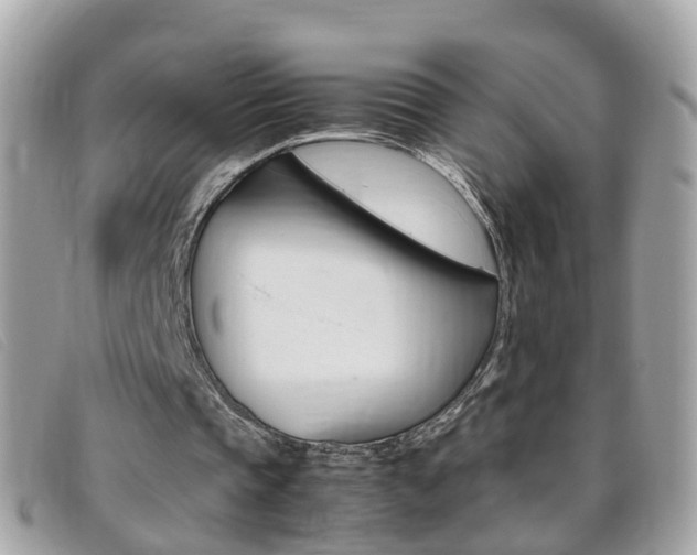 X0000095950337200801110920