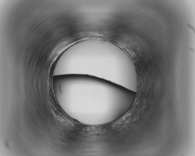 X0000095950338200801110920
