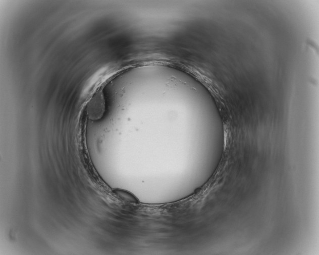 X0000095950339200801110920