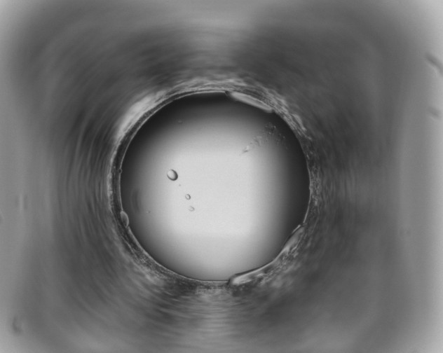 X0000095950340200801110920