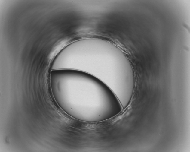X0000095950341200801110920