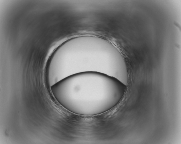 X0000095950342200801110920