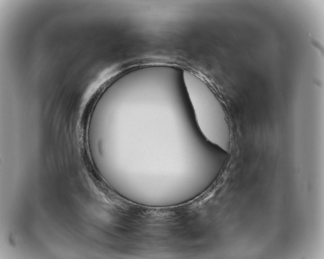 X0000095950343200801110920
