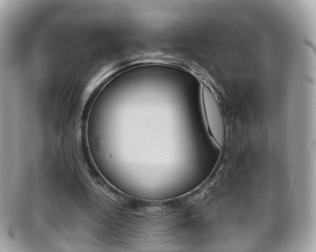 X0000095950344200801110920