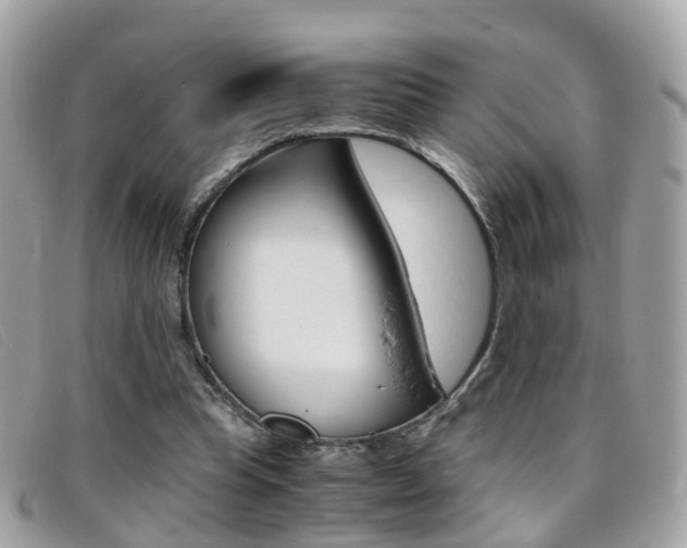 X0000095950345200801110920