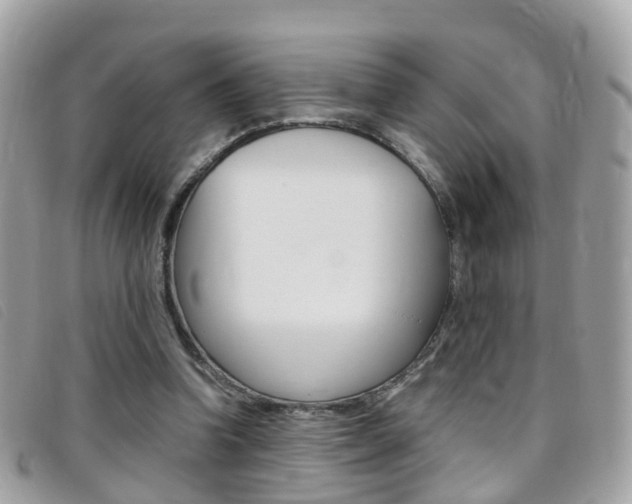 X0000095950346200801110920