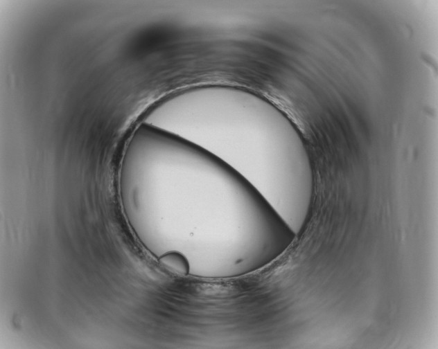 X0000095950347200801110920