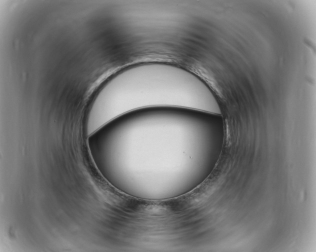 X0000095950348200801110920