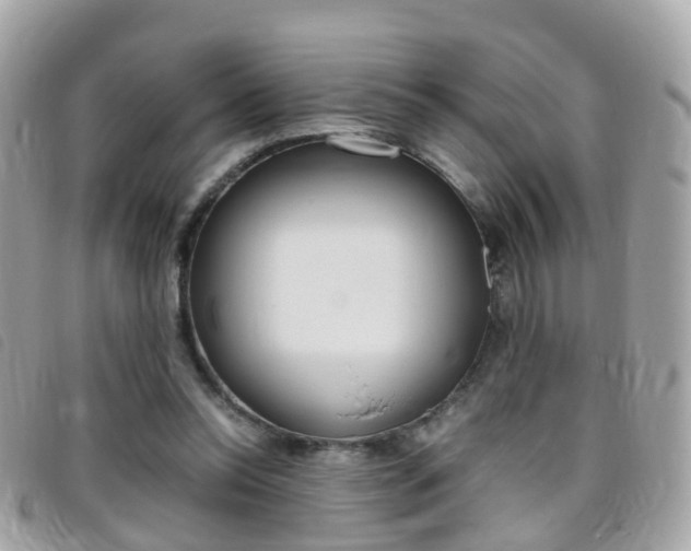 X0000095950350200801110920