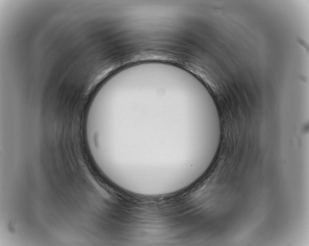 X0000095950352200801110920