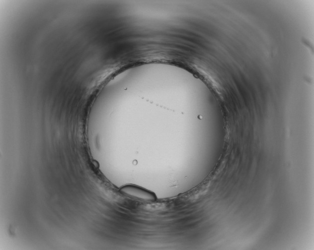 X0000095950353200801110920