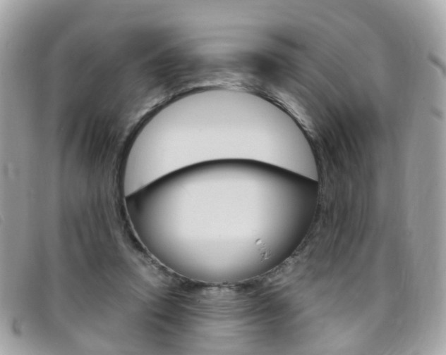X0000095950354200801110921