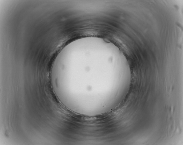 X0000095950355200801110921