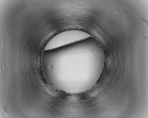 X0000095950356200801110921