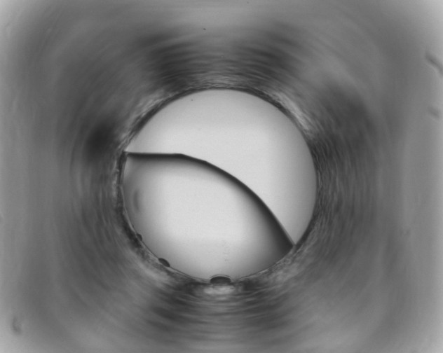 X0000095950357200801110921