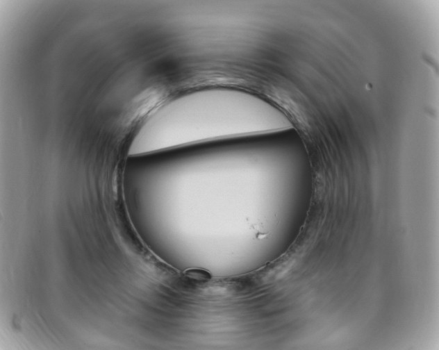 X0000095950358200801110921