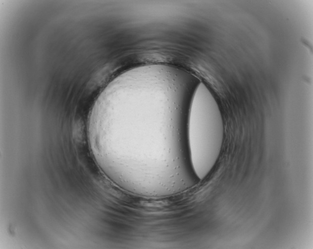 X0000095950359200801110921
