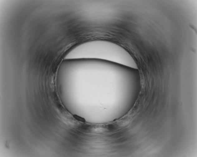 X0000095950360200801110921