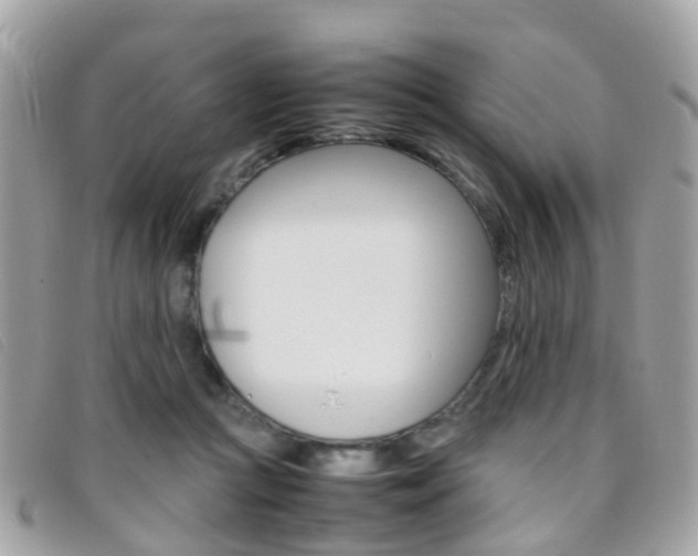 X0000095950361200801110921