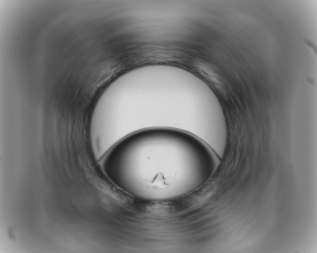 X0000095950362200801110921