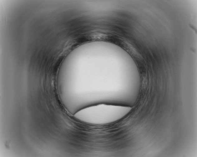X0000095950363200801110921
