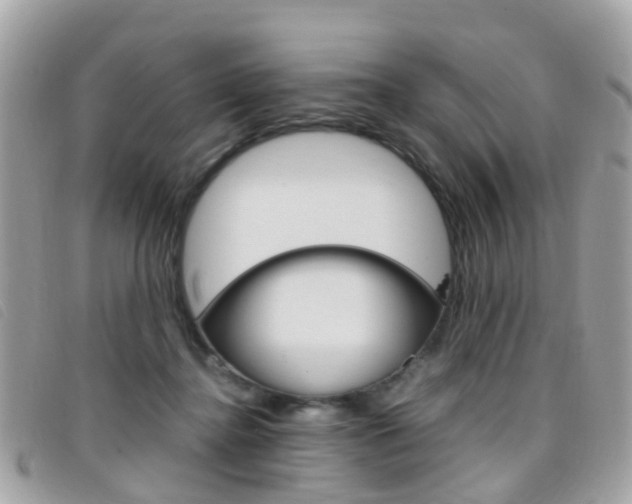 X0000095950364200801110921