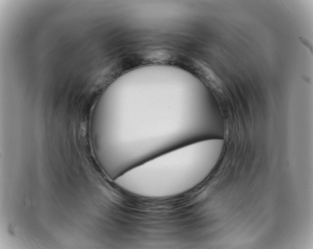 X0000095950365200801110921
