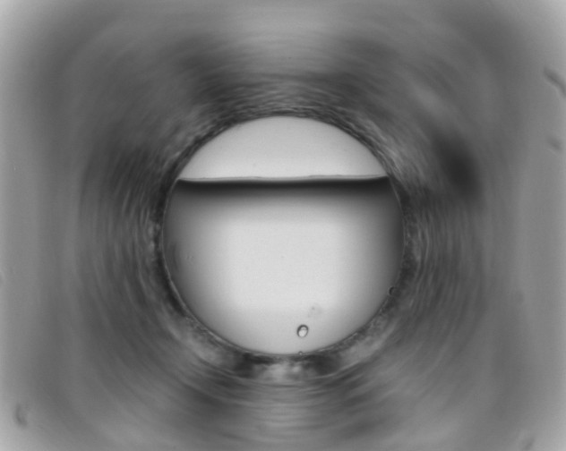 X0000095950366200801110921