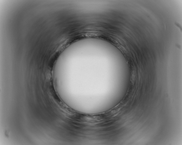 X0000095950367200801110921