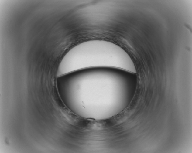 X0000095950368200801110921