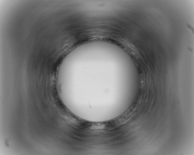 X0000095950369200801110921