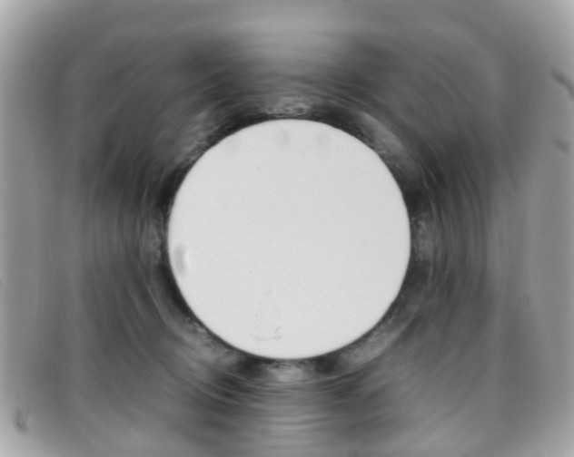 X0000095950370200801110921