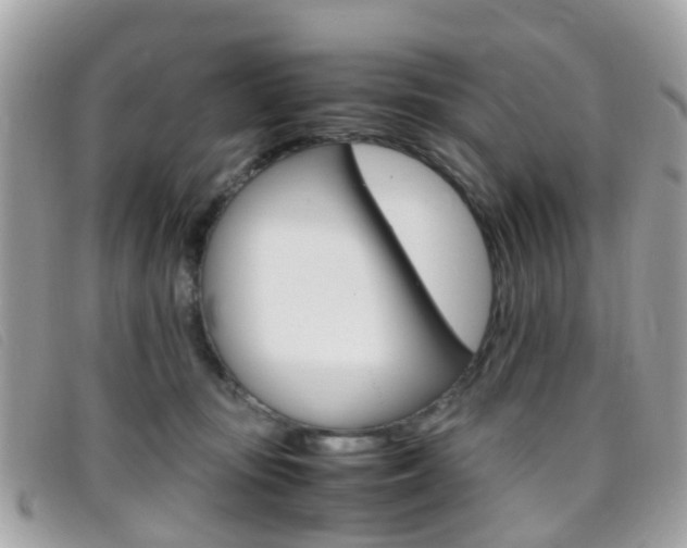 X0000095950371200801110921