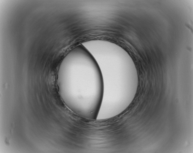 X0000095950372200801110921
