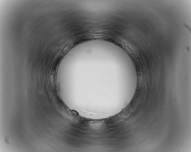 X0000095950373200801110921
